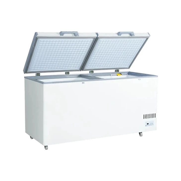 Chest Freezer Double Door price